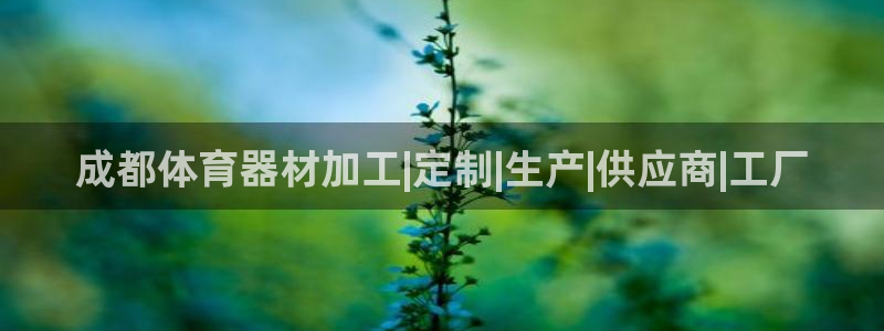 尊龙d88官网登录苹果版下载：成都体育器材加工|定制