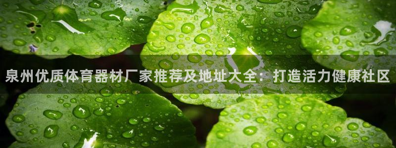 凯时登录首页,凯时K66：泉州优质体育器材厂家推荐及