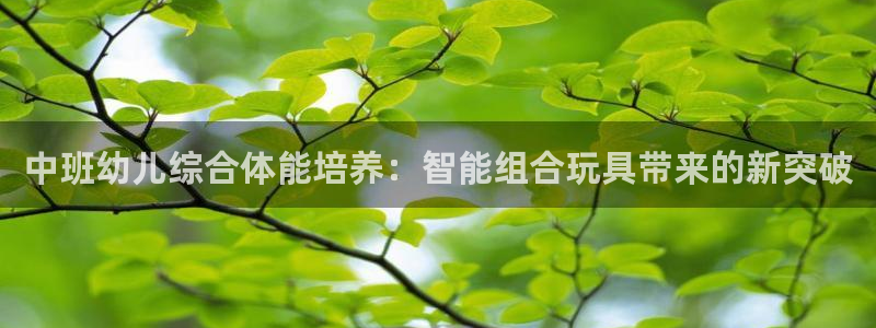 尊龙凯时平台信誉怎样：中班幼儿综合体能培养：智能组合